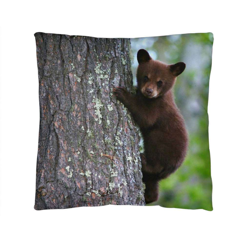 Baby Bear in Tree - Indoor/Outdoor Pillow