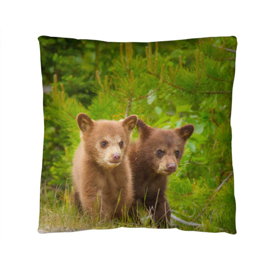 Baby Bears - Indoor/Outdoor Pillow