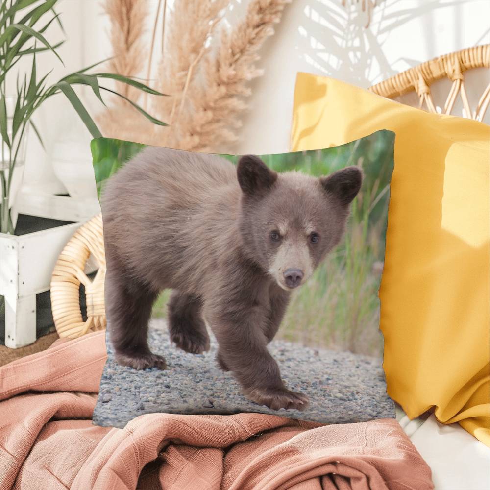 Baby Bear - Indoor/Outdoor Pillow