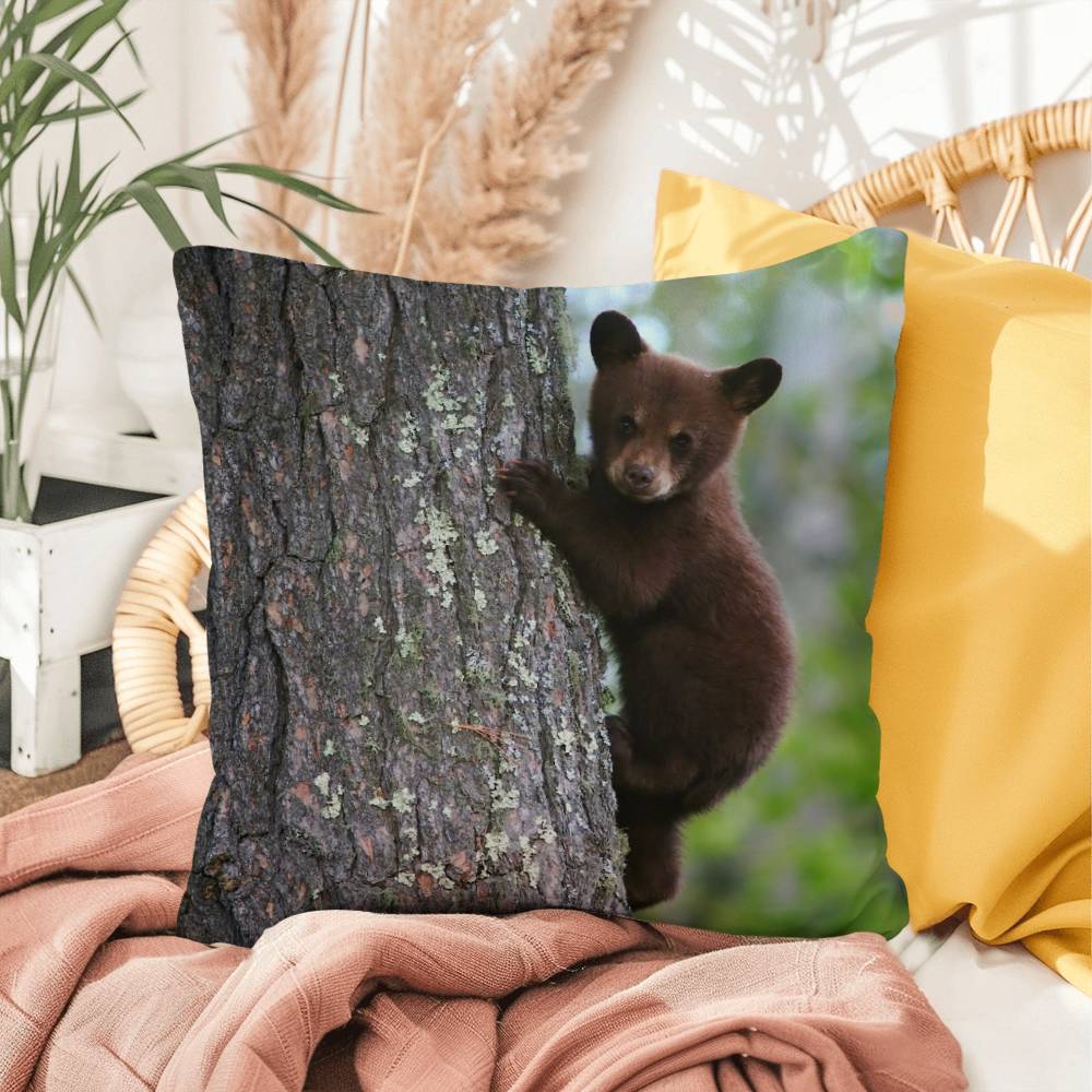 Baby Bear in Tree - Indoor/Outdoor Pillow