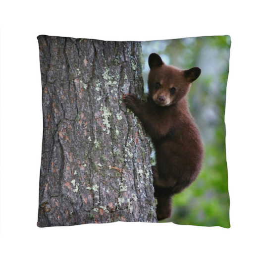 Baby Bear In a Tree - Classic Pillow Cover with Insert