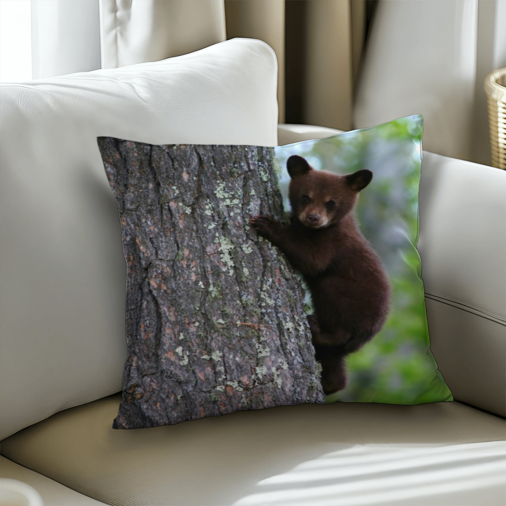 Baby Bear In a Tree - Classic Pillow Cover with Insert