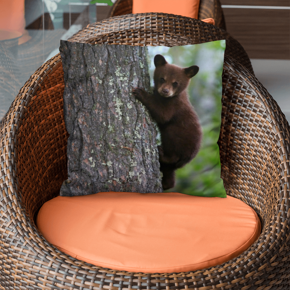 Baby Bear In a Tree - Classic Pillow Cover with Insert