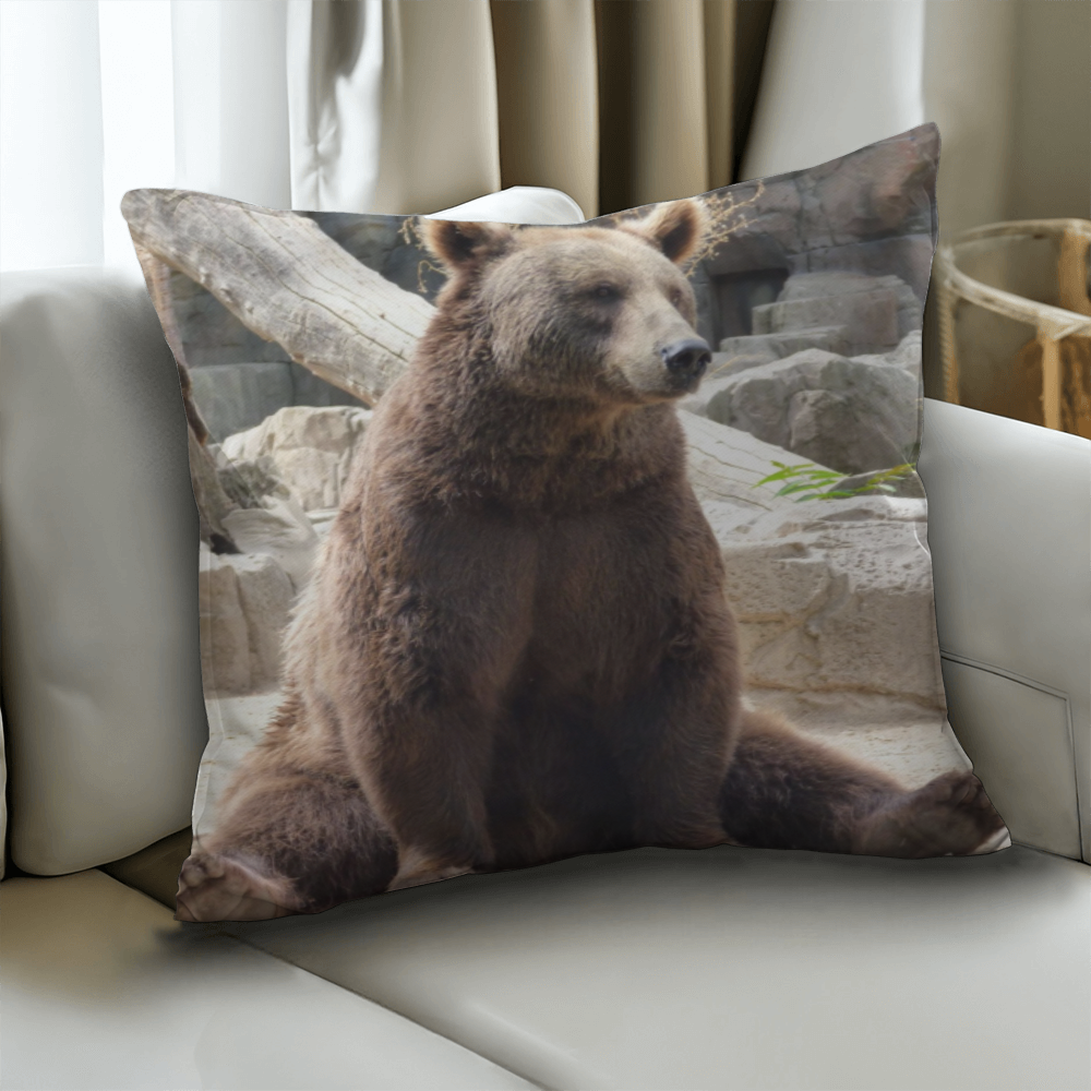 Daddy Bear - Classic Pillow Cover with Insert