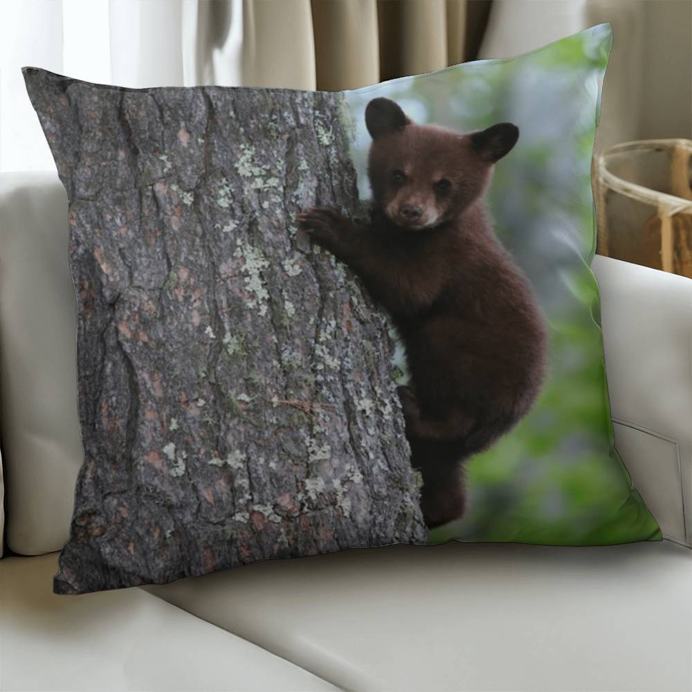 Baby Bear In a Tree - Classic Pillow Cover with Insert