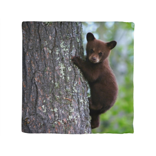 Baby Bear in a tree - Classic Pillow Cover