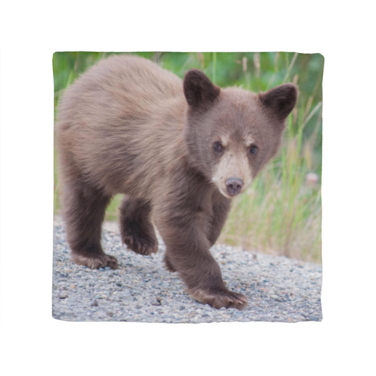 Baby Bear - Classic Pillow Cover