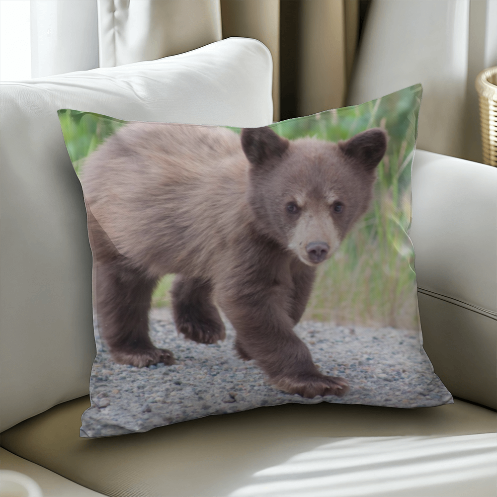 Baby Bear - Classic Pillow Cover