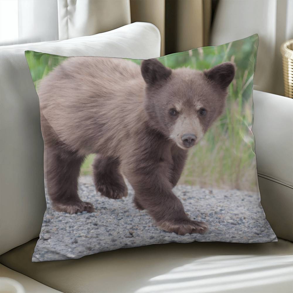 Baby Bear - Classic Pillow Cover